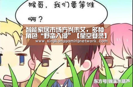 星空娱乐