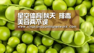 星空娱乐